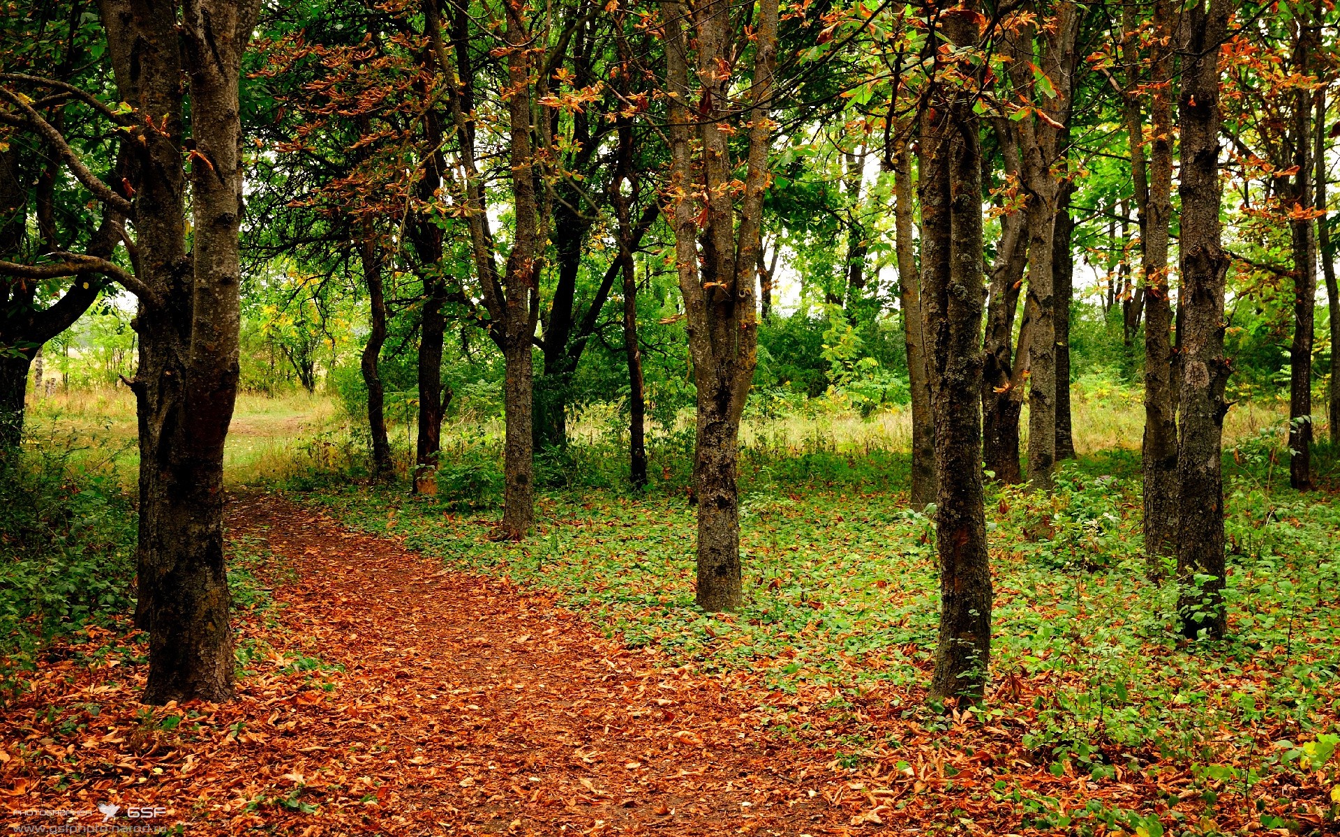 史上最年轻“冠军射手”崭露锋芒！，最年轻的s赛冠军